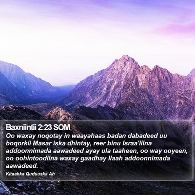 Baxniintii 2:23 SOM Bible Verse Image