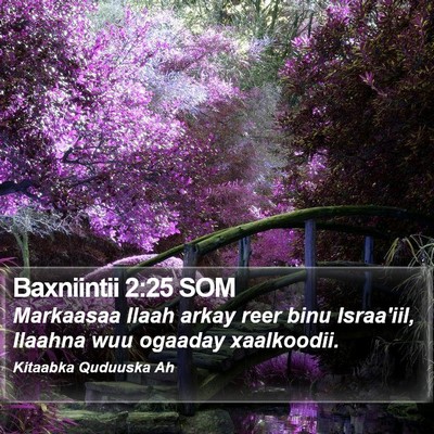 Baxniintii 2:25 SOM Bible Verse Image