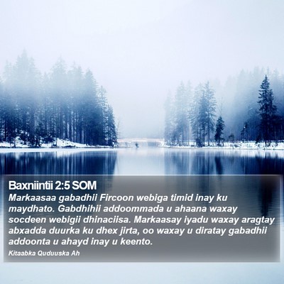 Baxniintii 2:5 SOM Bible Verse Image
