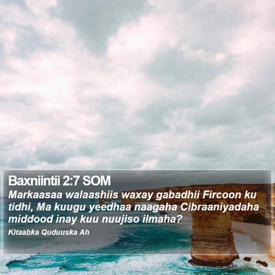 Baxniintii 2:7 SOM Bible Verse Image