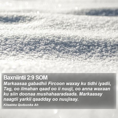 Baxniintii 2:9 SOM Bible Verse Image