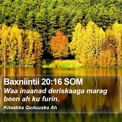 Baxniintii 20:16 SOM Bible Verse Image