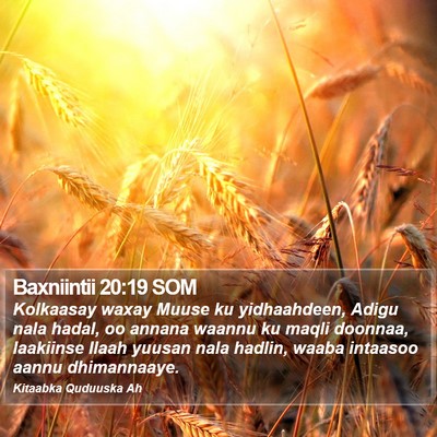 Baxniintii 20:19 SOM Bible Verse Image