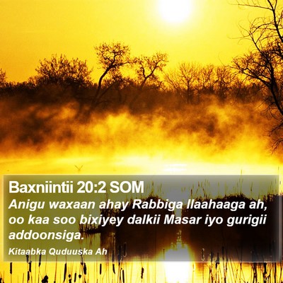 Baxniintii 20:2 SOM Bible Verse Image