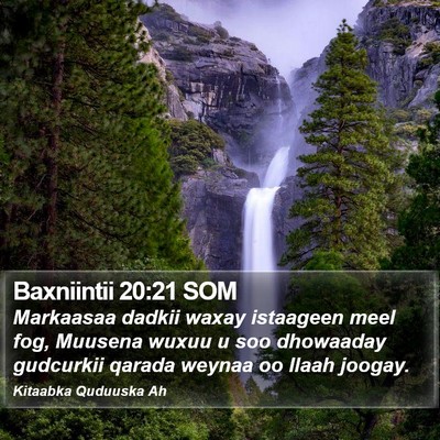 Baxniintii 20:21 SOM Bible Verse Image