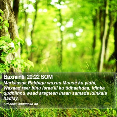 Baxniintii 20:22 SOM Bible Verse Image