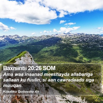 Baxniintii 20:26 SOM Bible Verse Image
