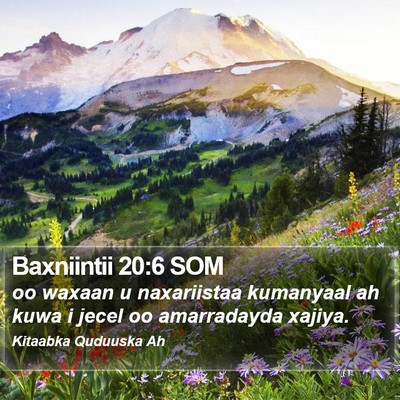 Baxniintii 20:6 SOM Bible Verse Image