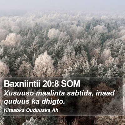 Baxniintii 20:8 SOM Bible Verse Image