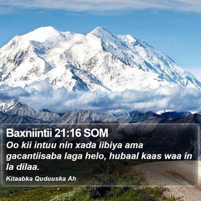 Baxniintii 21:16 SOM Bible Verse Image