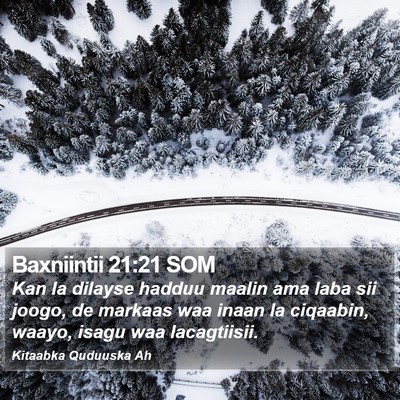 Baxniintii 21:21 SOM Bible Verse Image