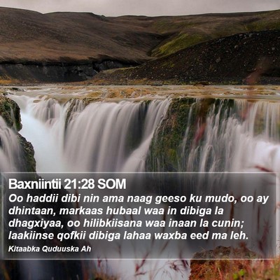 Baxniintii 21:28 SOM Bible Verse Image