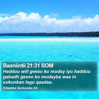 Baxniintii 21:31 SOM Bible Verse Image