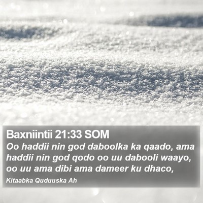 Baxniintii 21:33 SOM Bible Verse Image