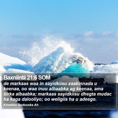 Baxniintii 21:6 SOM Bible Verse Image