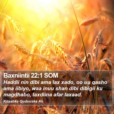 Baxniintii 22:1 SOM Bible Verse Image