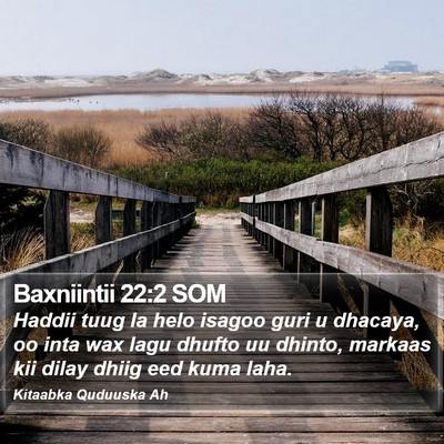 Baxniintii 22:2 SOM Bible Verse Image