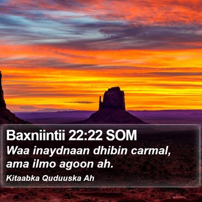 Baxniintii 22:22 SOM Bible Verse Image