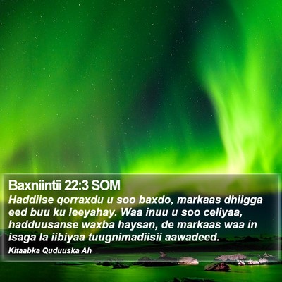 Baxniintii 22:3 SOM Bible Verse Image