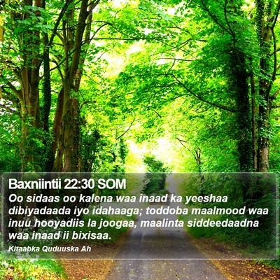 Baxniintii 22:30 SOM Bible Verse Image