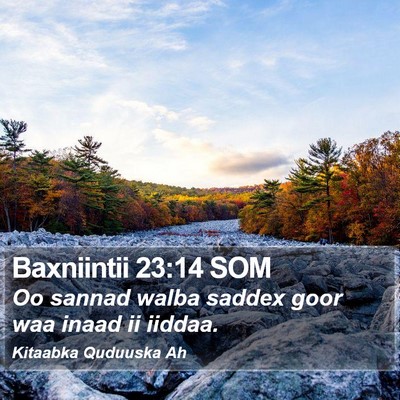 Baxniintii 23:14 SOM Bible Verse Image
