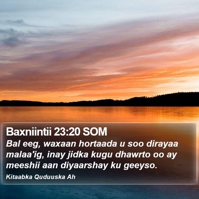 Baxniintii 23:20 SOM Bible Verse Image