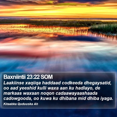 Baxniintii 23:22 SOM Bible Verse Image