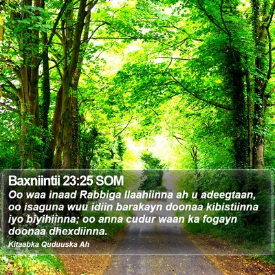 Baxniintii 23:25 SOM Bible Verse Image