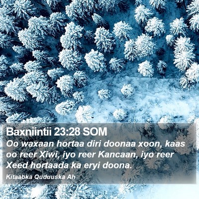 Baxniintii 23:28 SOM Bible Verse Image