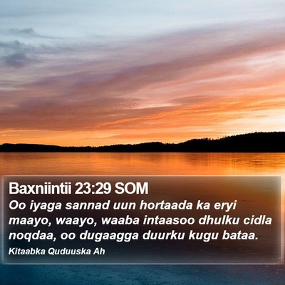 Baxniintii 23:29 SOM Bible Verse Image