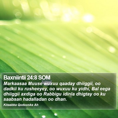 Baxniintii 24:8 SOM Bible Verse Image