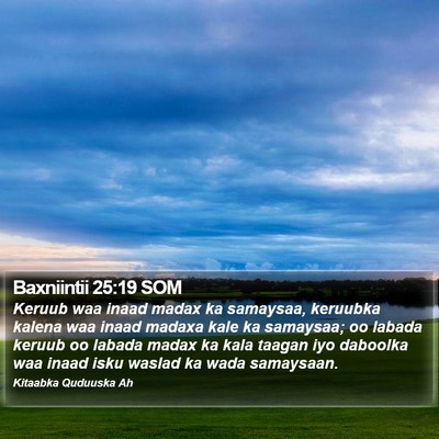 Baxniintii 25:19 SOM Bible Verse Image
