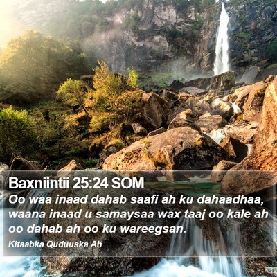 Baxniintii 25:24 SOM Bible Verse Image