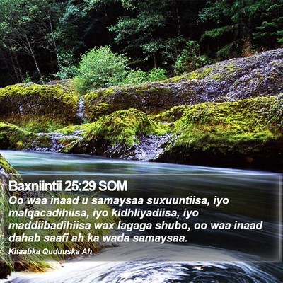 Baxniintii 25:29 SOM Bible Verse Image