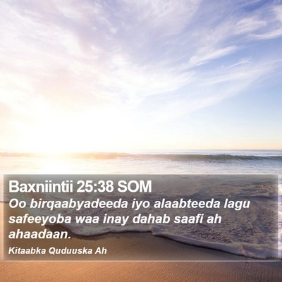 Baxniintii 25:38 SOM Bible Verse Image