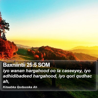 Baxniintii 25:5 SOM Bible Verse Image