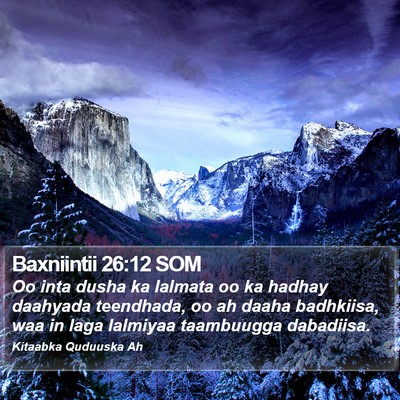 Baxniintii 26:12 SOM Bible Verse Image