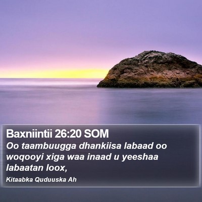 Baxniintii 26:20 SOM Bible Verse Image