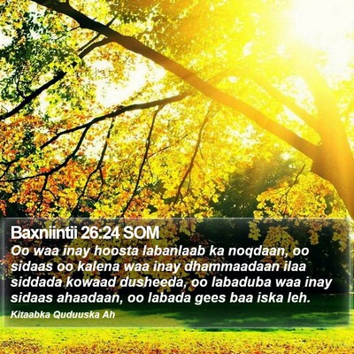 Baxniintii 26:24 SOM Bible Verse Image