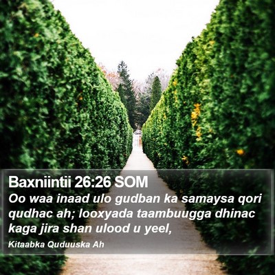 Baxniintii 26:26 SOM Bible Verse Image