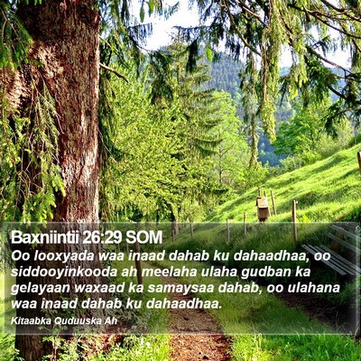Baxniintii 26:29 SOM Bible Verse Image