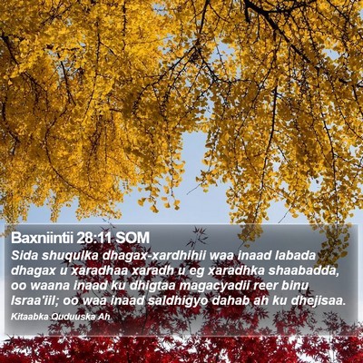 Baxniintii 28:11 SOM Bible Verse Image