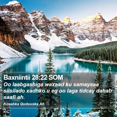 Baxniintii 28:22 SOM Bible Verse Image