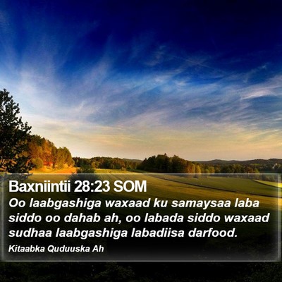 Baxniintii 28:23 SOM Bible Verse Image