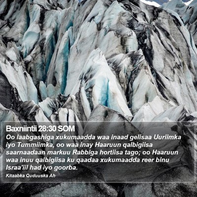 Baxniintii 28:30 SOM Bible Verse Image