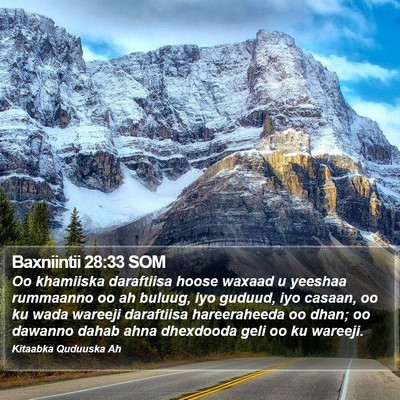 Baxniintii 28:33 SOM Bible Verse Image