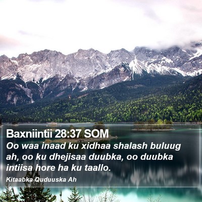 Baxniintii 28:37 SOM Bible Verse Image
