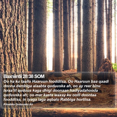Baxniintii 28:38 SOM Bible Verse Image