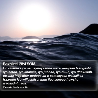 Baxniintii 28:4 SOM Bible Verse Image