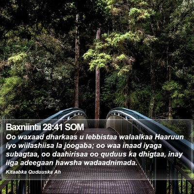Baxniintii 28:41 SOM Bible Verse Image